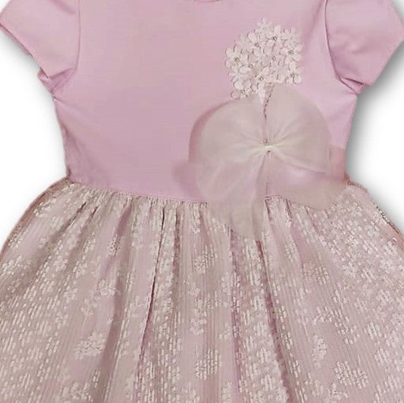Vestido Rosa Pálido Niña